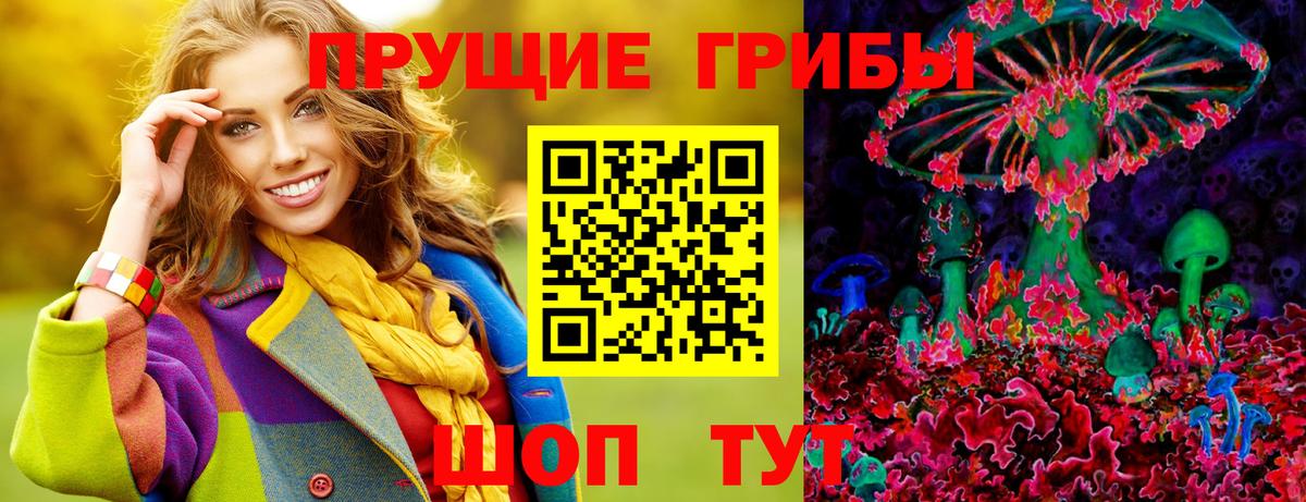 как найти наркотики  Галлюциногенные грибы мицелий  Вход с VPN  Анжеро-Судженск 